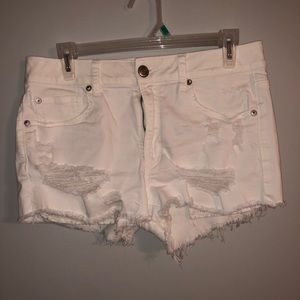 Festival short shorts